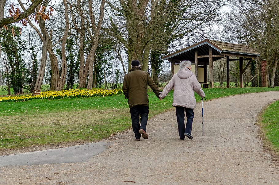 daffodil, spring, park, flower, nature, plants, couple, love HD wallpaper