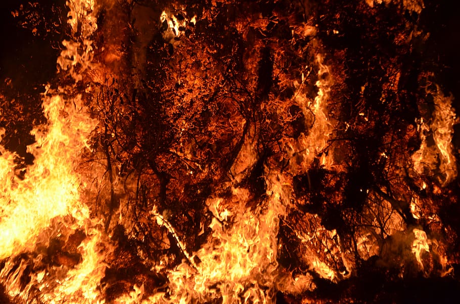 india, harihareshwar, burning, fire, fire - natural phenomenon HD wallpaper