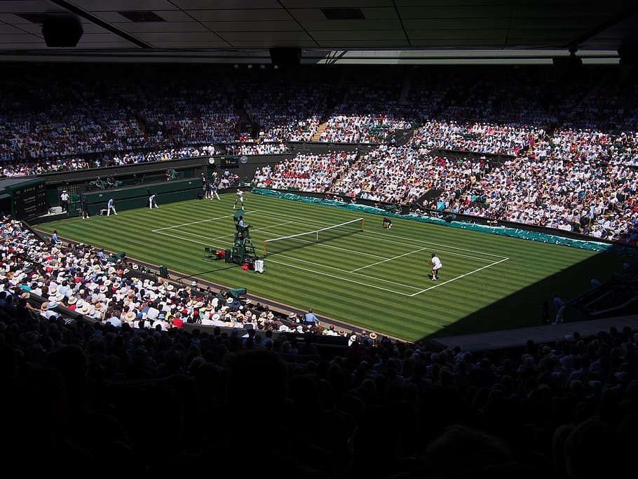 two person playing tennis, wimbledon, roger federer, tennis court, HD wallpaper