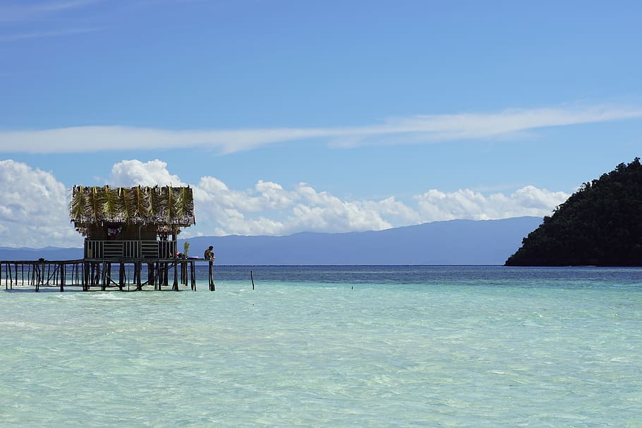 beach, air, sea, water, sky, scenics - nature, beauty in nature HD wallpaper