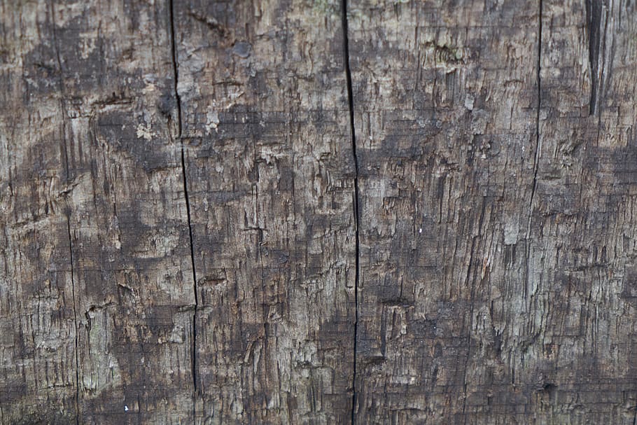 wood, timber, texture, abstract, backgrounds, textured, wood - material HD wallpaper