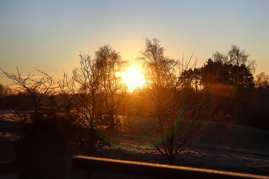 denmark, frederikssund, sunset, sky, tree, plant, tranquility HD wallpaper