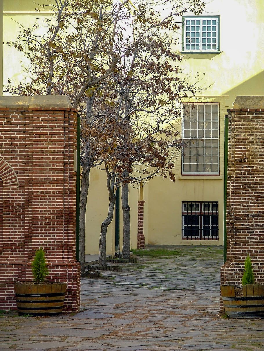 architecture, built structure, building exterior, plant, tree HD wallpaper