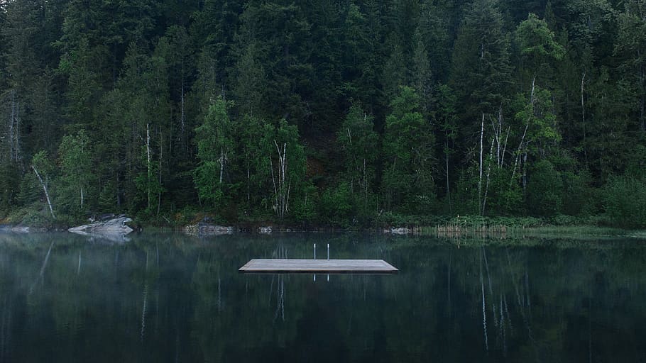 nature, landscape, trees, forest, woods, dark, night, lake HD wallpaper