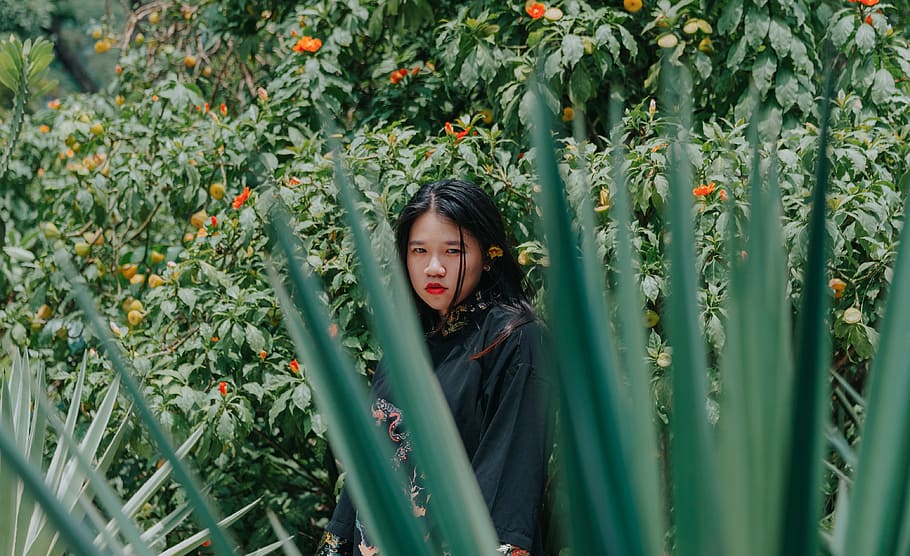 Shallow Focus Photography of Asian Woman, blur, close-up, daylight HD wallpaper