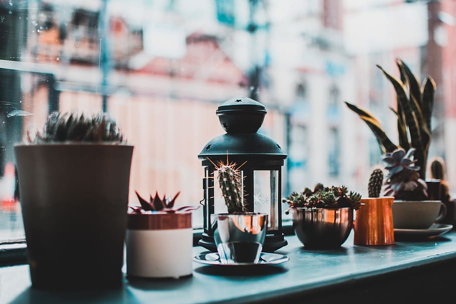 lantern, plants, window, sill, house, home, garden, city, candle HD wallpaper