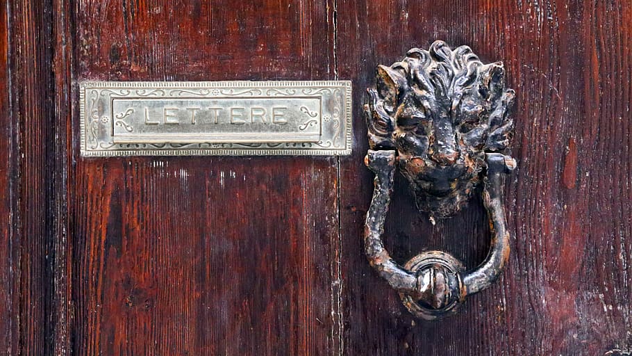 malta, mosta, door, knocker, wood, lion, mahogany, lettere HD wallpaper