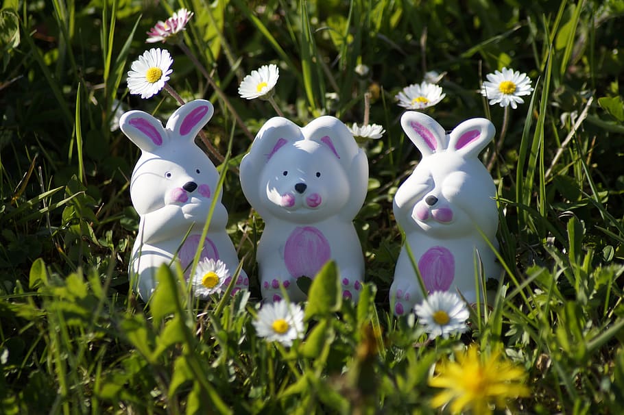 easter, easter bunny, spring, see, listen, talk, three, hare, HD wallpaper