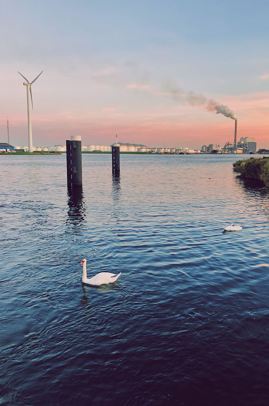 river, swan, factory, wind, sunset, reflex, industry, pink HD wallpaper