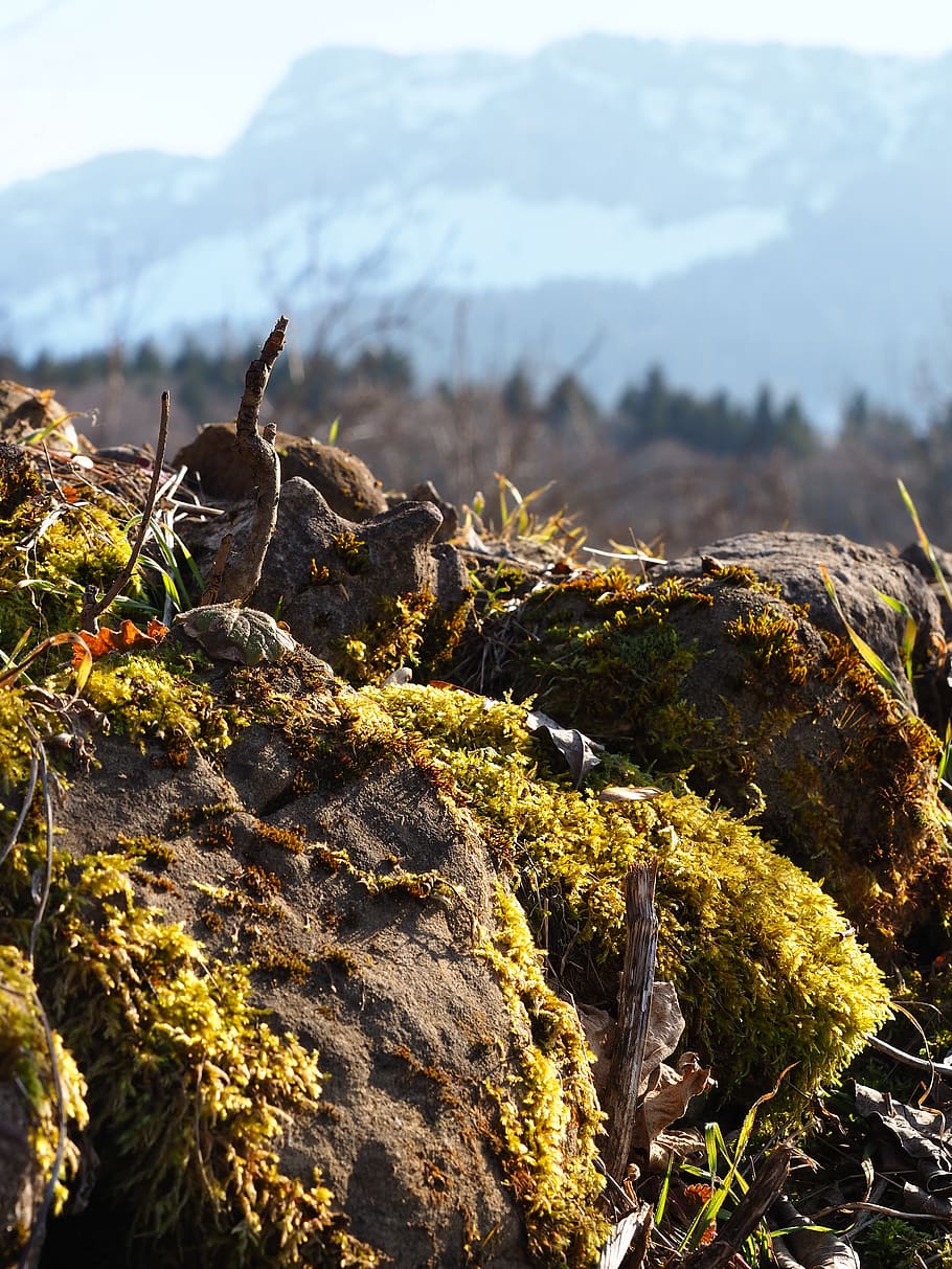 foam, landscape, nature, spring, snow, mountain, rocks, soil HD wallpaper
