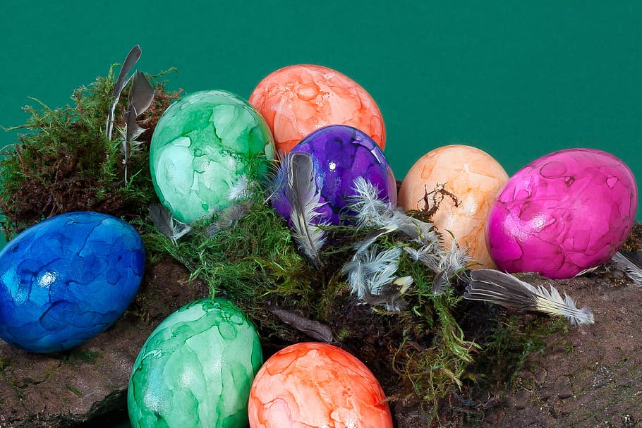 egg, colorful, easter eggs, easter nest, paint, colored, cheerful HD wallpaper