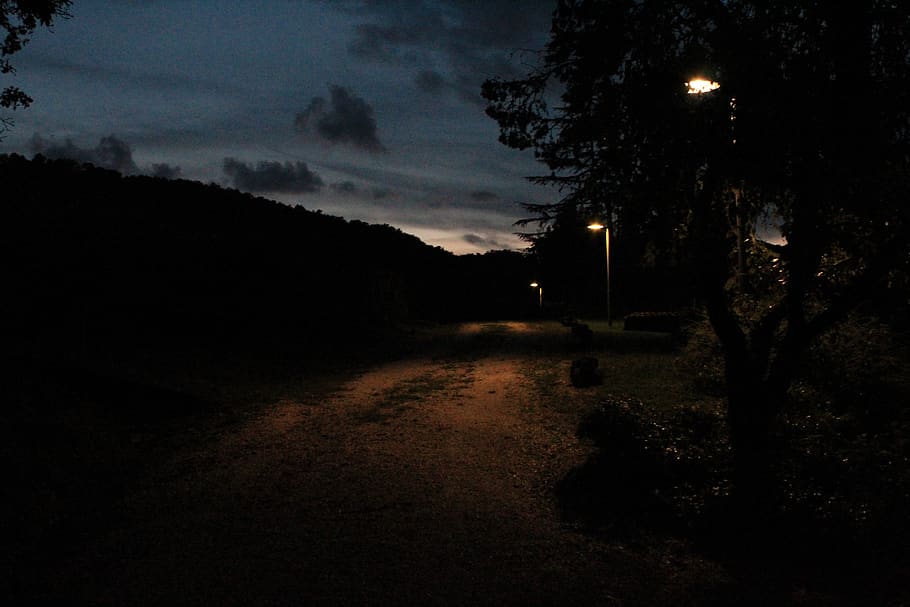 italy, orvieto, tree, plant, night, sky, cloud - sky, nature HD wallpaper