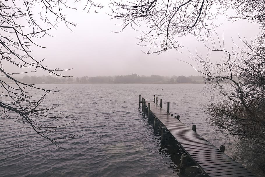 brown wooden dock, water, waterfront, pier, port, denmark, lake esrum HD wallpaper