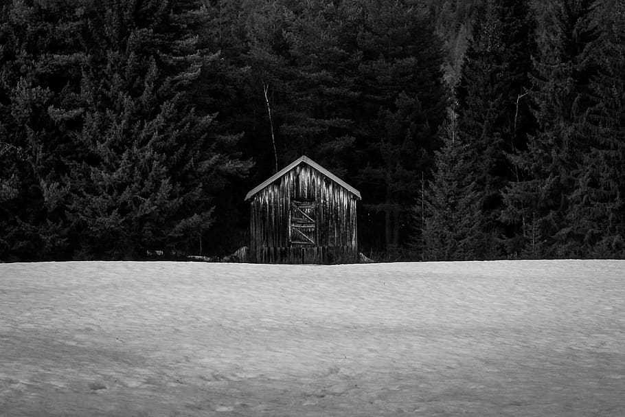 mood, nordic, winter, tree, cabin, plant, architecture, forest HD wallpaper