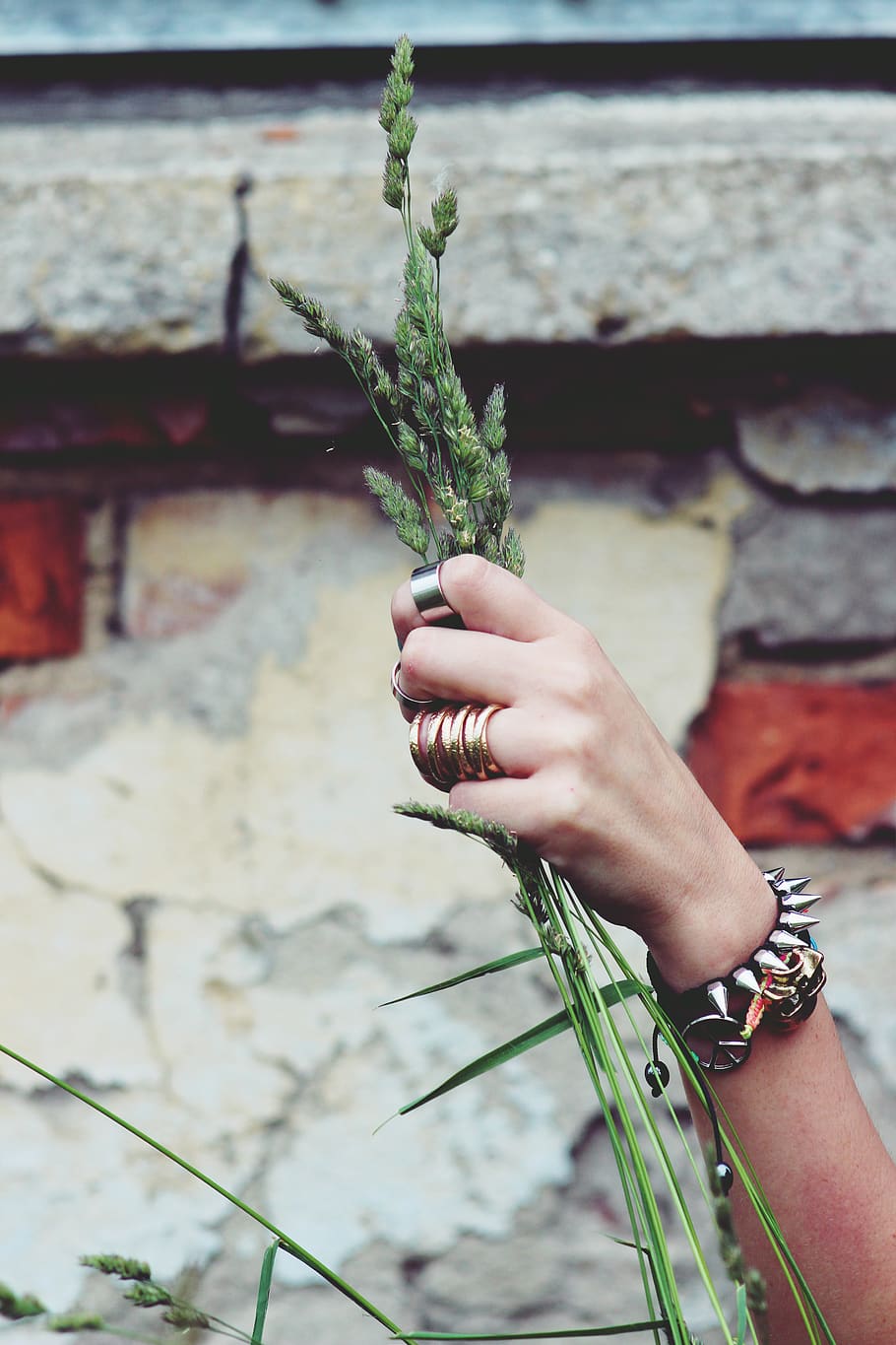Hand with jewelry, grain, one person, human hand, holding, real people HD wallpaper