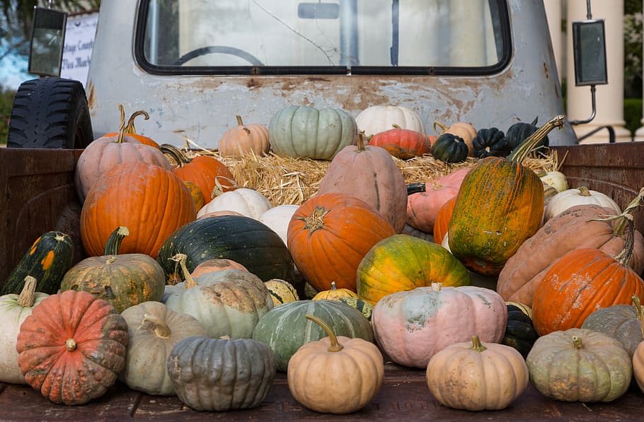 HD wallpaper: united states, willows, harvest, pumpkins, truck, food ...