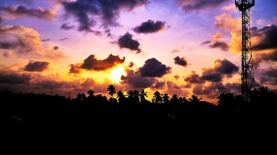 Silhouette of Trees and Tower during Sunset, backlit, clouds HD wallpaper
