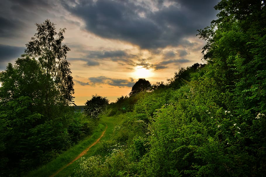 sunset, cotswolds, england, path, clouds, warm, trees, green HD wallpaper