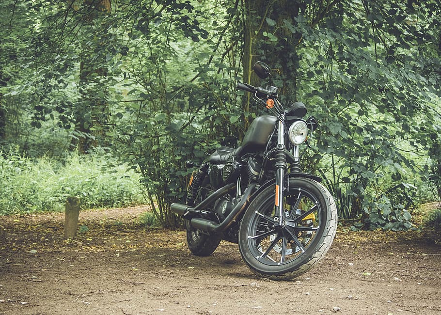 united kingdom, swithland wood, trees, forest, motorbike, leicester, HD wallpaper