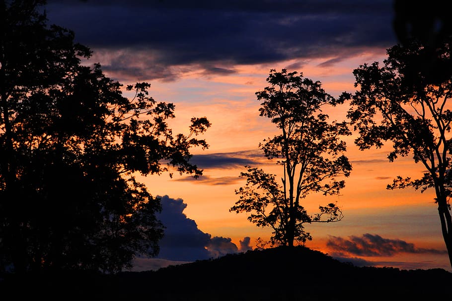 dusk, mato grosso do sul, beautiful, forest, landscape, inspiration, HD wallpaper