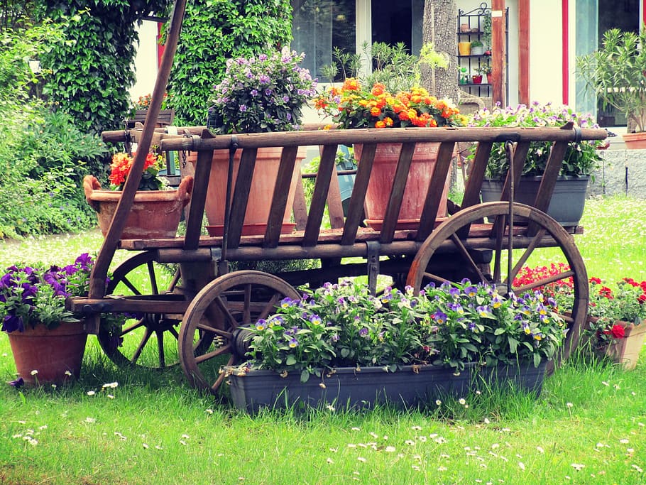 germany, stuttgart, sommerrain, green, wagon, flowers, plant HD wallpaper