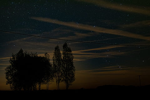 trees in field, star, sunset, low light, dark, november, autumn HD wallpaper