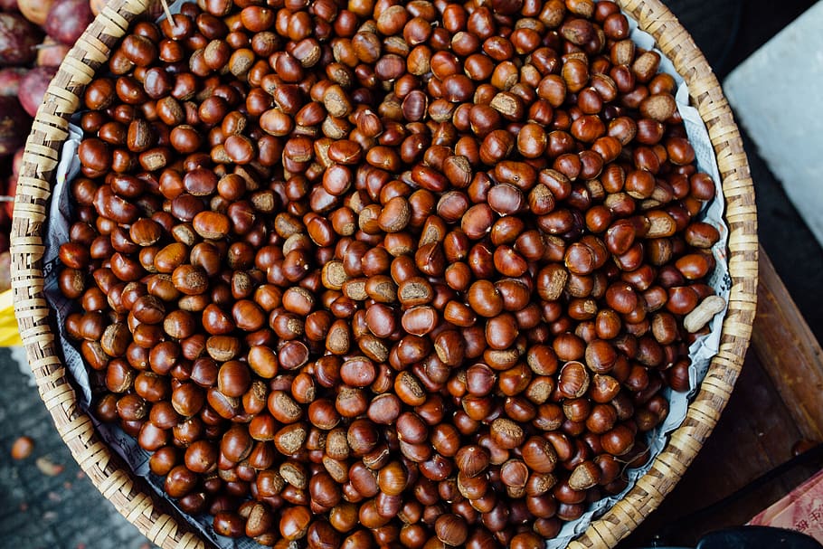 brown chestnuts, plant, food, vegetable, bean, soy, produce, lentil HD wallpaper