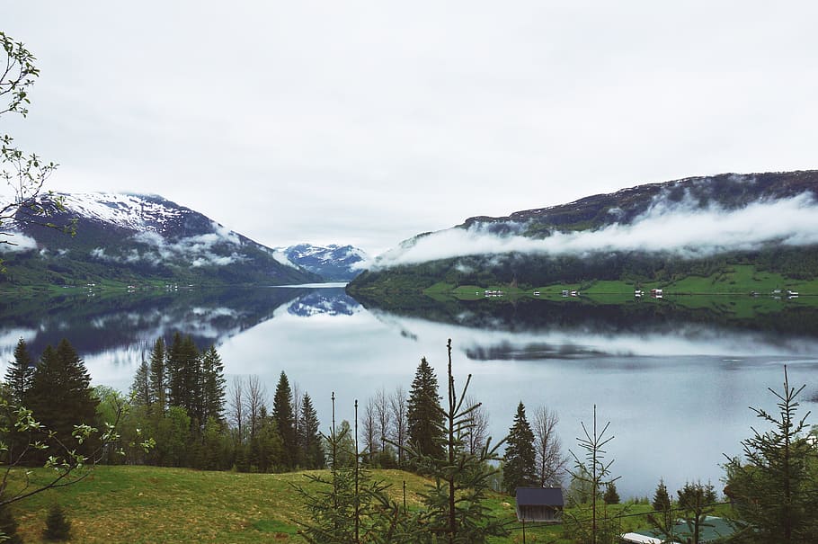 Green-leafed Trees, bird's eye view, calm waters, cloud forest HD wallpaper