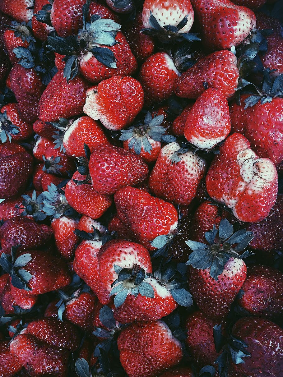 perú, cusco, red, color, fruit, nature, contrast, berry fruit HD wallpaper