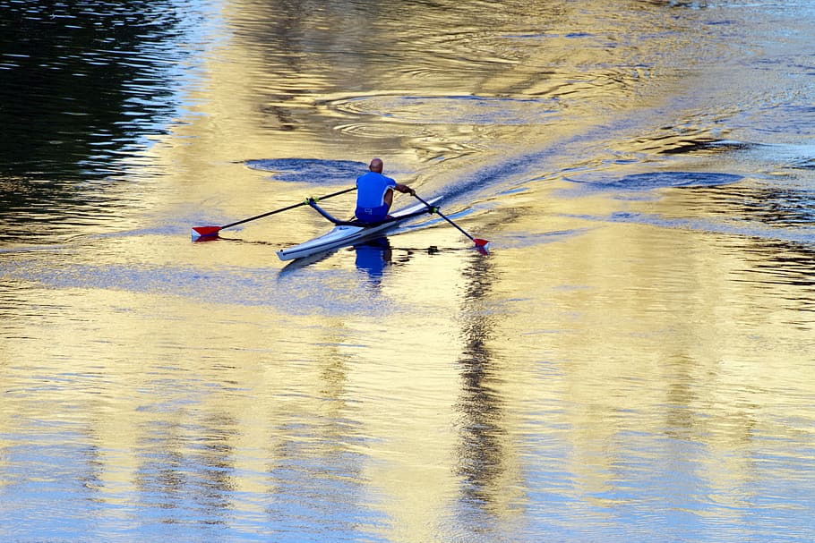 rowing, tiber, river, sport, water sports, rome, bridge, italy HD wallpaper