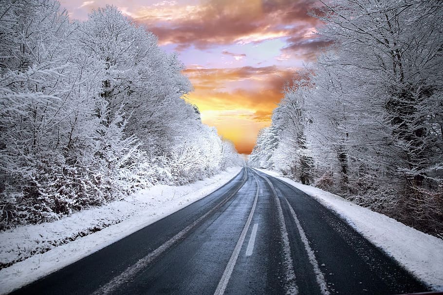 winter, road, highway, forest, cold, snow, trees, landscape HD wallpaper