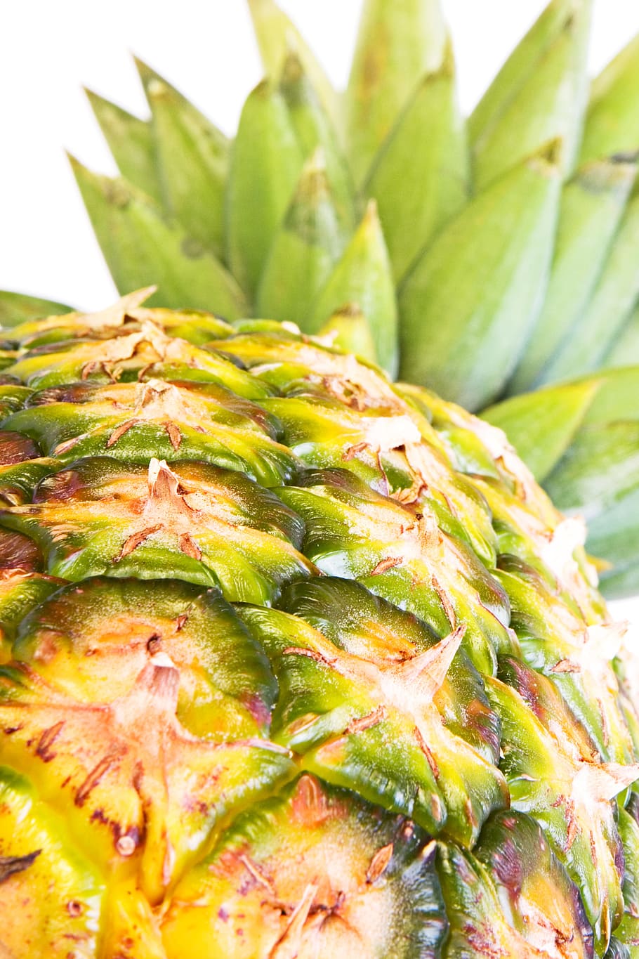 pineapple, ananas, close-up, closeup, diet, dieting, eating HD wallpaper