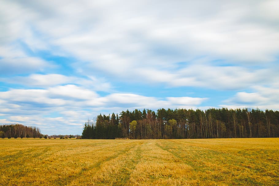 estonia, are, field, clouds, long exposure, nature, trees, matte HD wallpaper