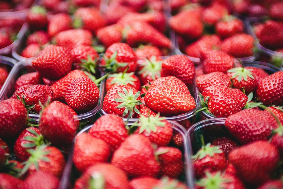 Strawberries on Clear Plastic Containers, blur, blurry, close-up HD wallpaper
