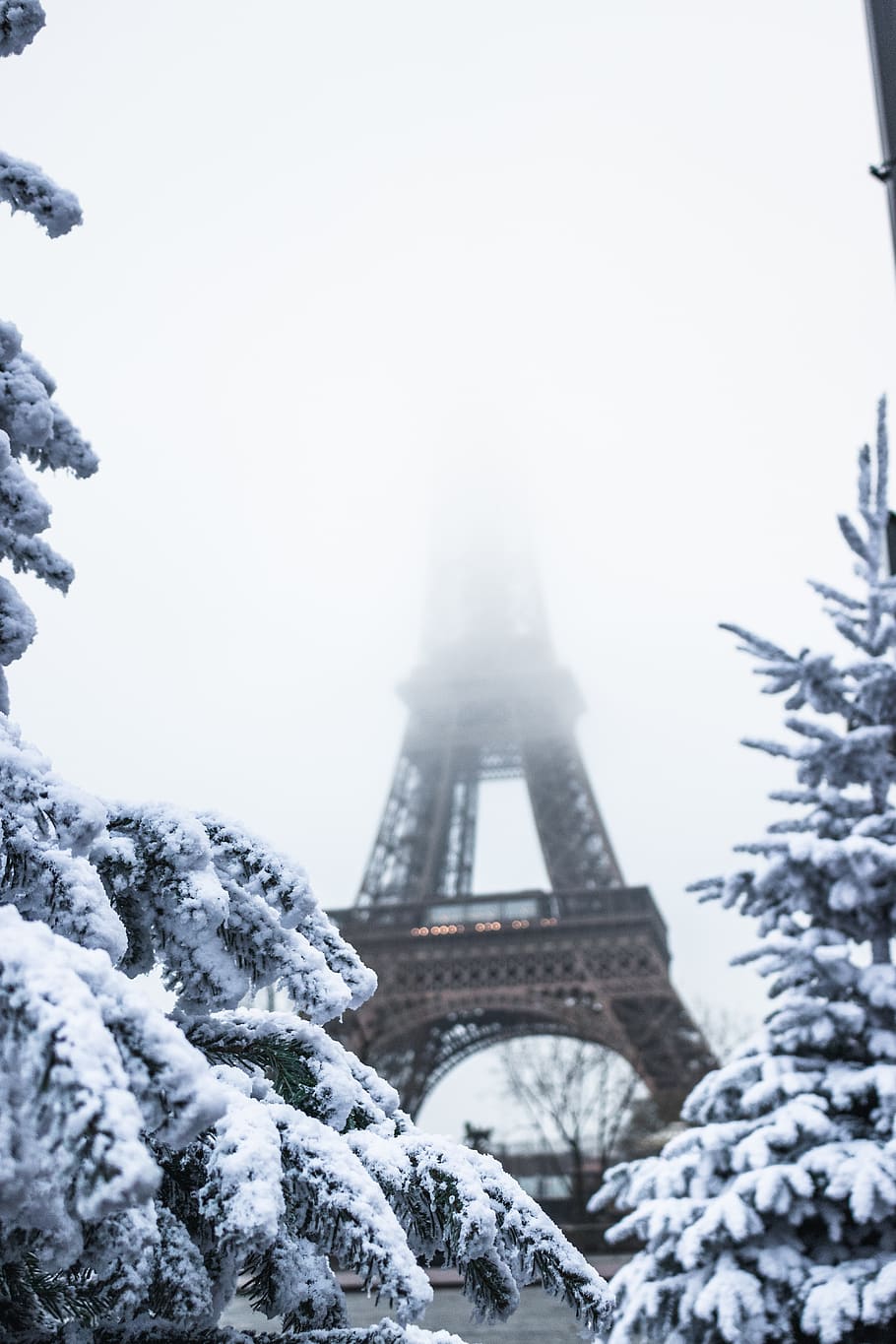 Eiffel Tower, Paris, architecture, cold, fog, foggy, landmark HD wallpaper