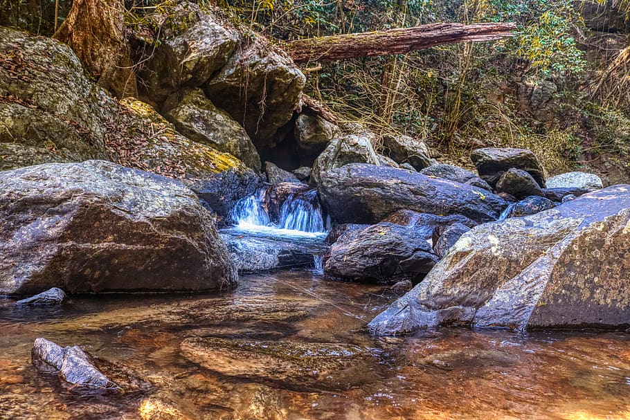 water, river, bach, forest, nature, landscape, tree, rock, fluent HD wallpaper