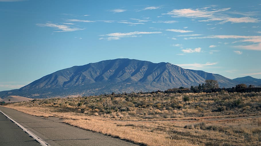 mountain, desert, shurb, sky, tree, travel, trip, road, landscape HD wallpaper