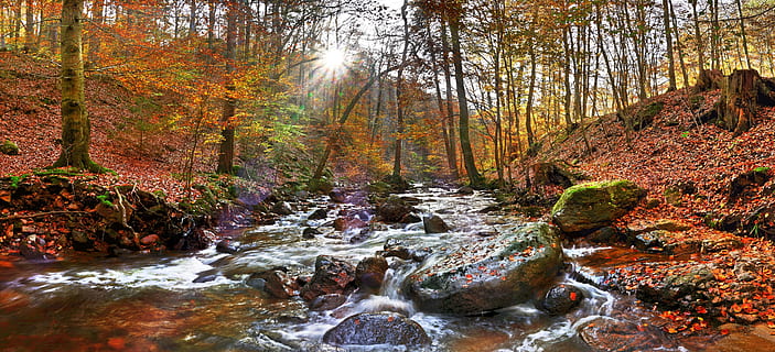 ilsetal, resin, germany, boulder, hiking in the harz mountains HD wallpaper