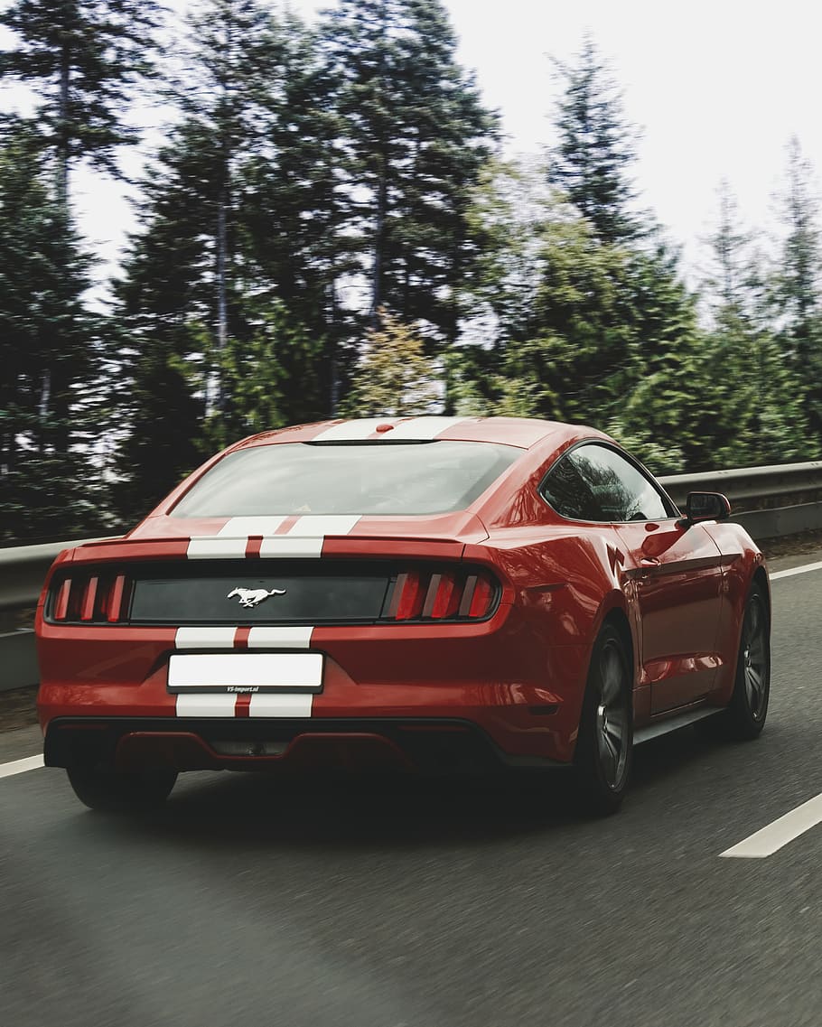 American Mustang Hd Wallpaper