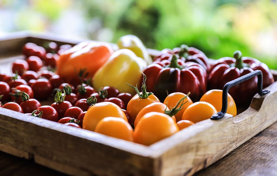 vegetables, pepper, tomatoes, garden, food, healthy, kitchen HD wallpaper