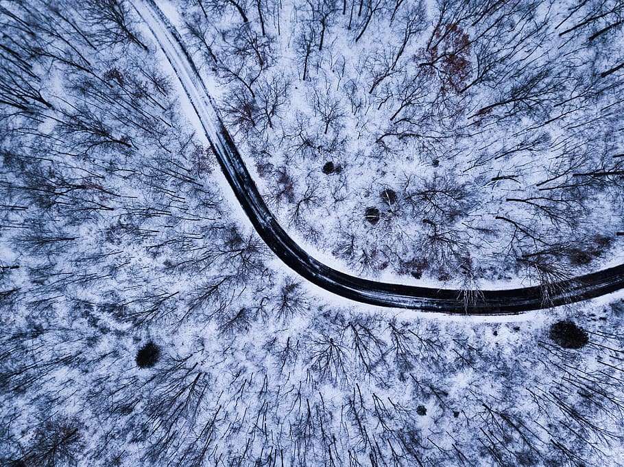 hair strand, snow, tree, frost, outdoors, ice, street, road, forest HD wallpaper