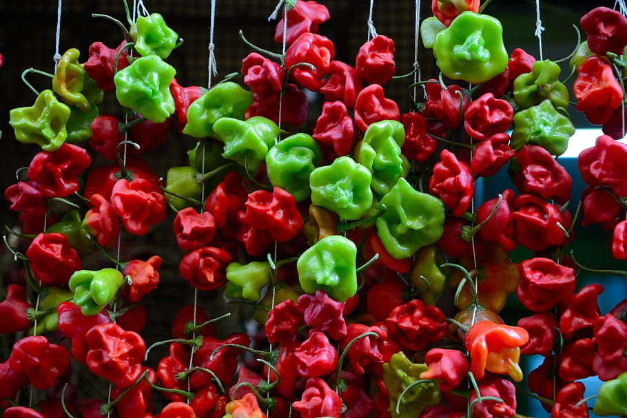 italy, capri, red, green, chilli pepper, freshness, large group of objects HD wallpaper