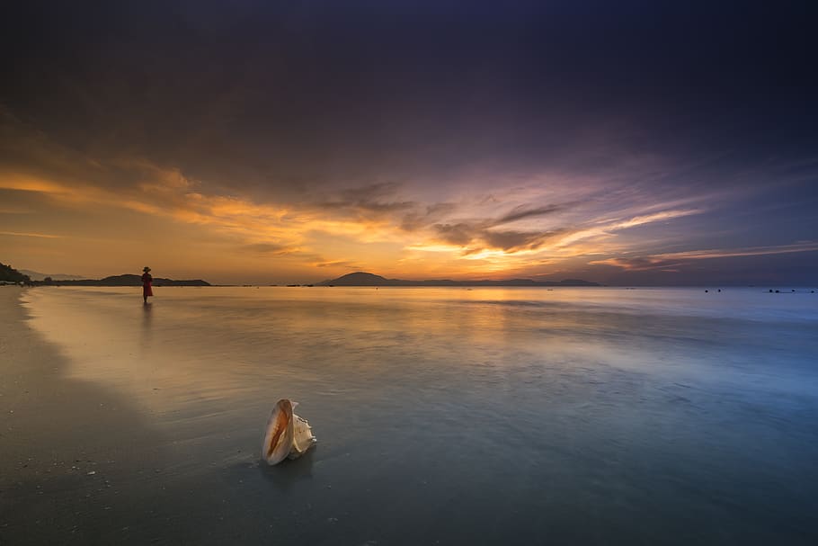 Seashore During Golden Hour, alone, backlit, beach, dawn, dusk HD wallpaper