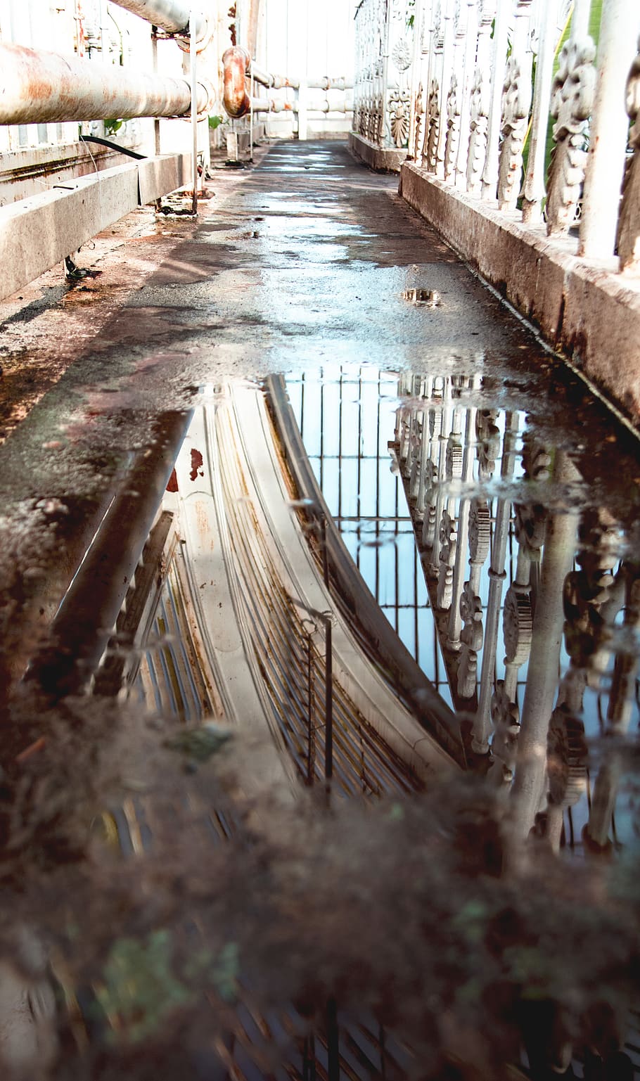 puddle, town, road, building, city, urban, street, nature, greenhouse HD wallpaper