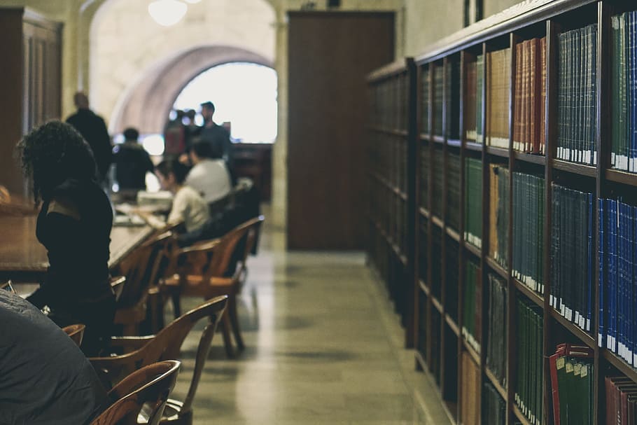 people, student, men, women, school, library, education, knowledge HD wallpaper
