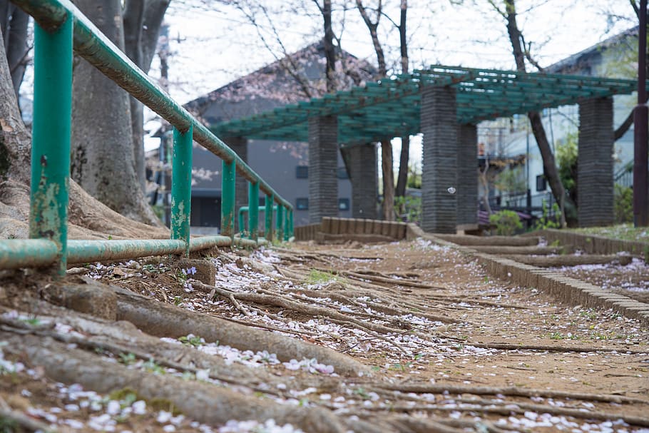 Gray and Green Building Structure Near Bare Trees, architecture HD wallpaper
