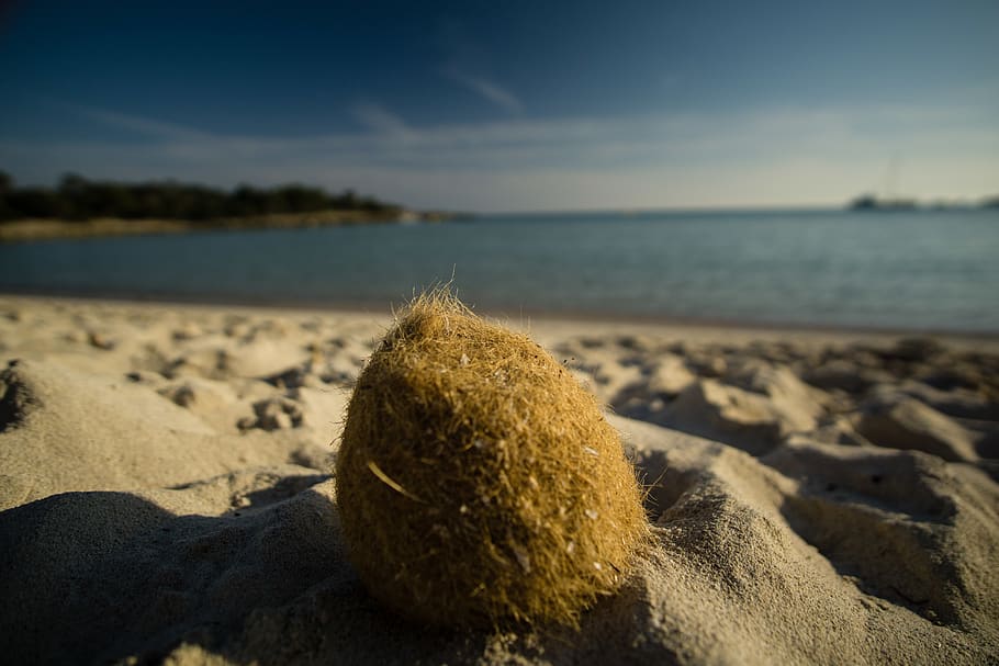beach, menorca, sharp, sea, wideangle, land, sky, water, nature HD wallpaper