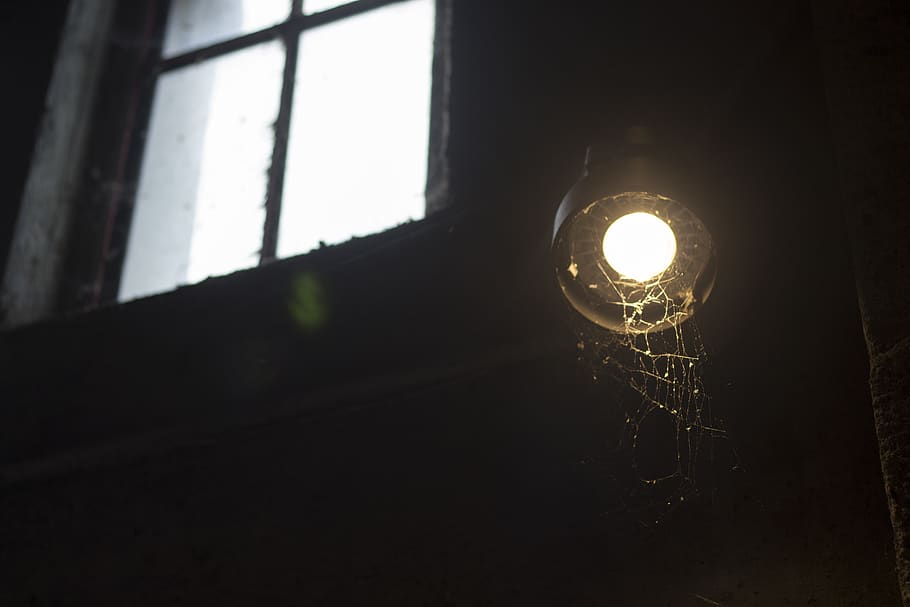 canada, montreal, light, lighting equipment, window, illuminated HD wallpaper