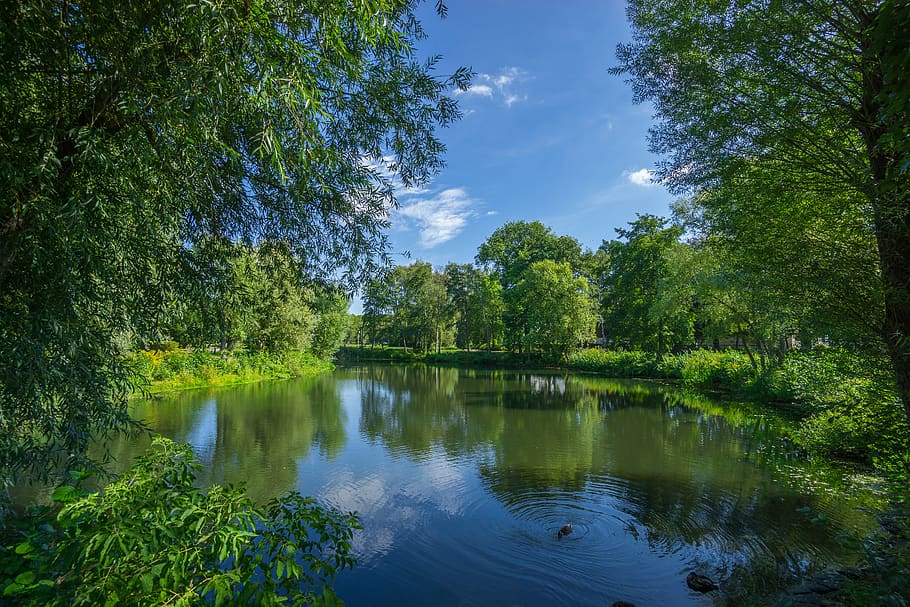 Green Trees and Lake Photo, clouds, daylight, environment, grass HD wallpaper