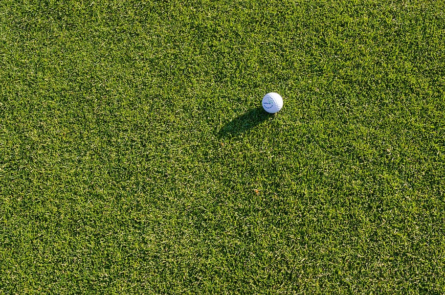 plant, ball, sport, golf ball, sports, lawn, golfball, green, HD wallpaper
